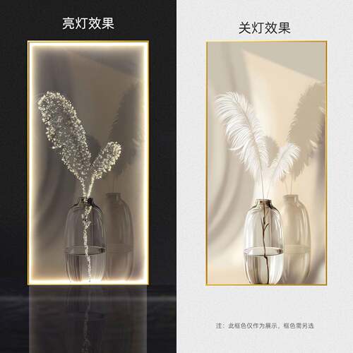 入代户led灯毛轻奢羽玄关画客厅沙发落地画画奶油风挂现简JS-035