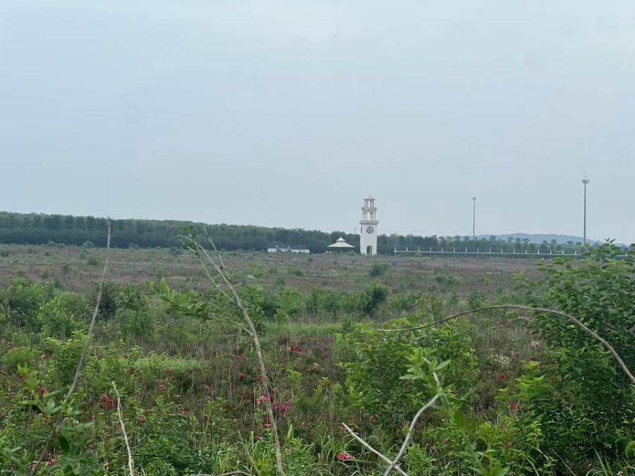 3月14日南京环保公司“彩被玫瑰花”网络拍卖公告