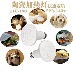 爬宠陶瓷加热灯鹦鹉宠物无光保温灯泡养殖场小鸡育雏红外线取暖灯