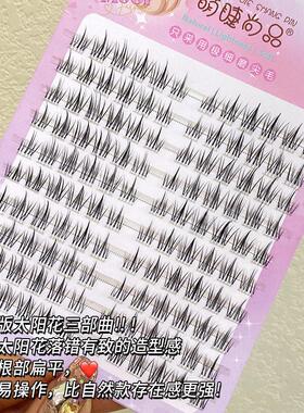 Natural Lash Clusters 120pcs Individual Eyelashes Wispy