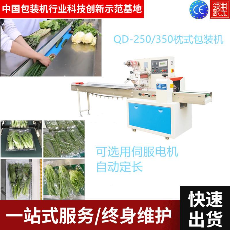 【上海钦典】枕机式包包装机 食品装 机QD-250生鲜蔬菜包装设备