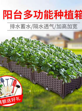 30cm宽阳台蔬菜种植箱种菜种花箱塑料花盆长方形种植户外花箱