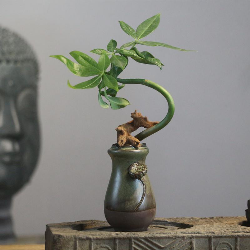 水培发财树件夫易活茶宠小花器功茶道配件茶茶CWC具盘小摆室桌内