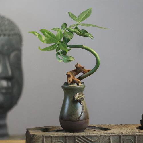 水培发财树件夫易活茶宠小花器功茶道配件茶茶CWC具盘小摆室桌内
