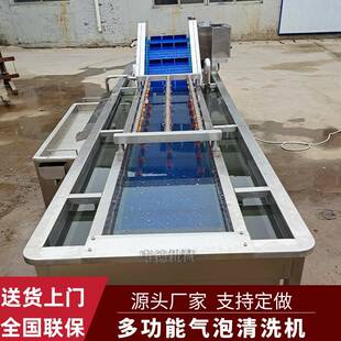 全自动海参气泡清洗机水果干烘干清洗设备梅菜去泥沙鼓泡清洗机