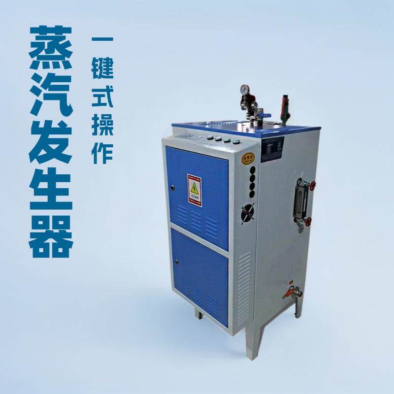 ()电热蒸汽发生器一台起批锅炉水加热炉跟踪服务高效