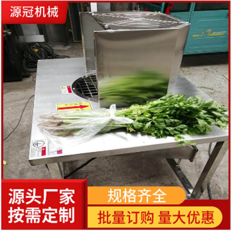 芹菜摘叶子机器香菜叶去除机自动摘蔬菜叶子机器不锈钢芹菜去叶机