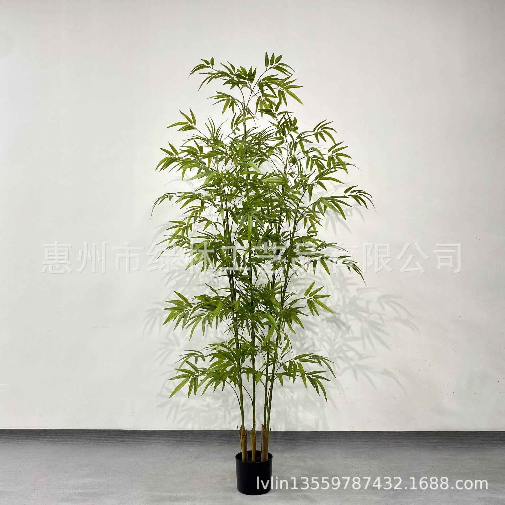 真拆装仿子室内屏风盆景细毛竹绿植客水厅装饰竹叶植物造景MDZ假