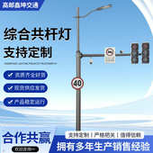 合一屏幕显示路灯城市道路综合多户外照明路灯led交通智慧bsd杆