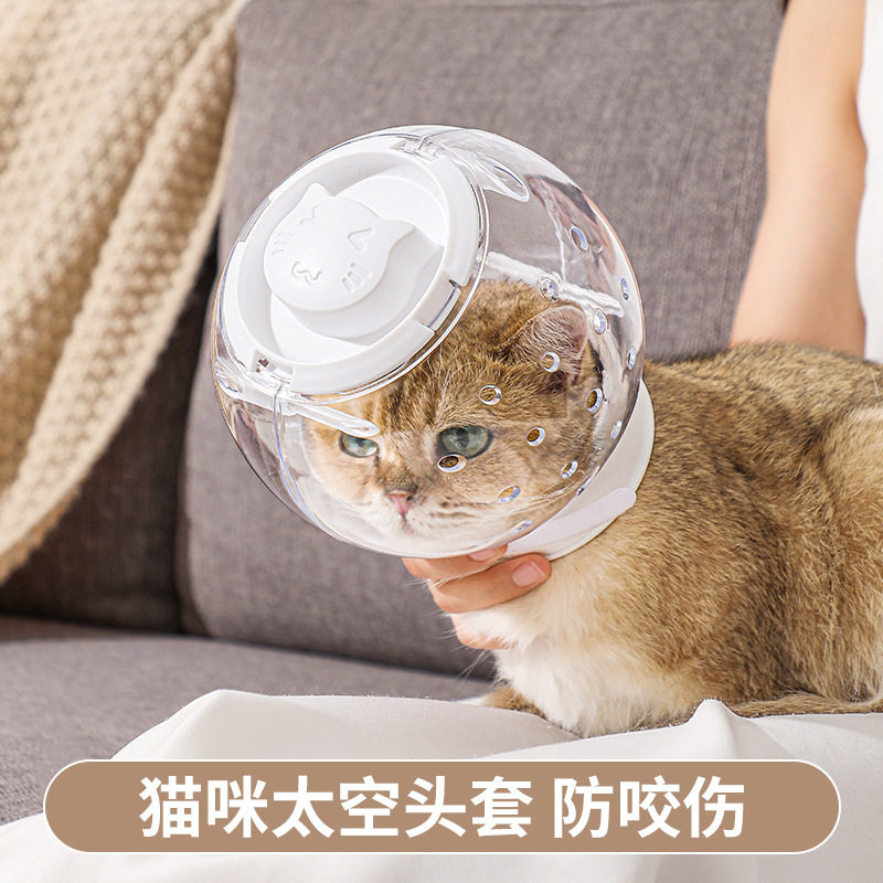 伊丽莎白宠物狗宠物用品猫咪嘴套