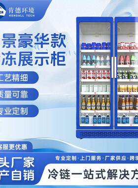 肯德环境冷冻展示柜商超便利店啤酒立式风冷保鲜冷柜源头工厂定做