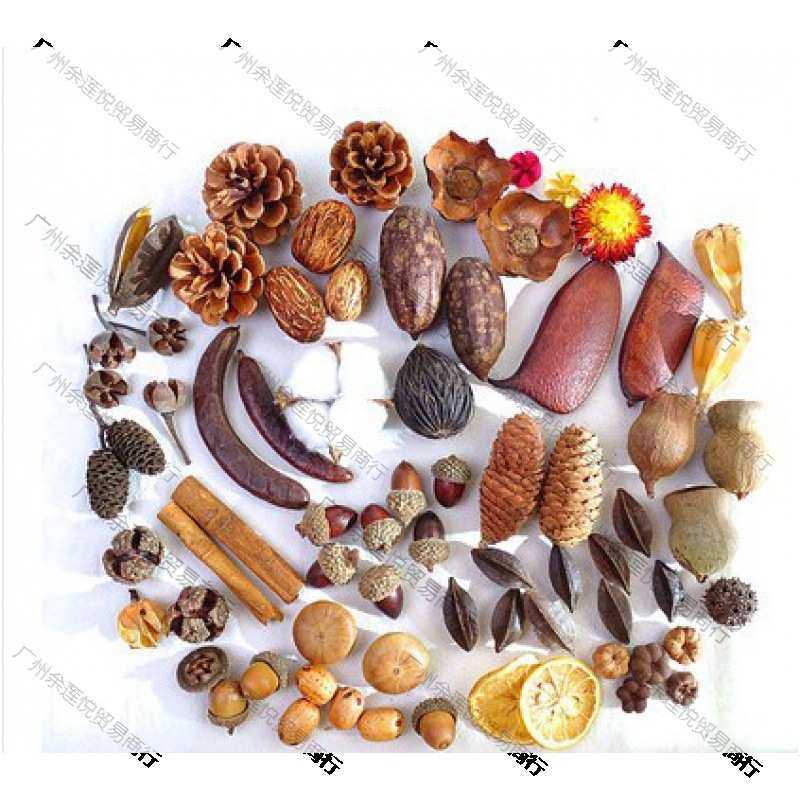 树枝环创装饰莲蓬棉花材料包橡果松果创意手工树叶干花幼儿园,鲜花速递/花卉仿真/绿植园艺,干花,淘宝优惠券,粉丝福利购,淘宝优惠卷