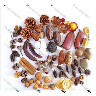 树枝环创装饰莲蓬棉花材料包橡果松果创意手工树叶干花幼儿园