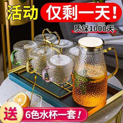杯子家庭套装水杯家用带把手喝水杯子客厅待客玻璃杯欧式轻奢杯具