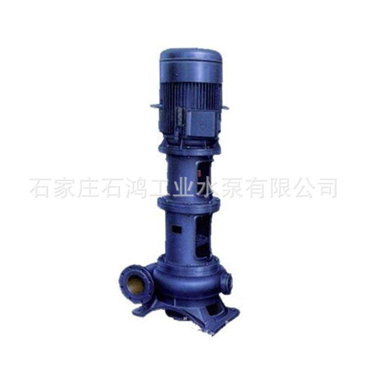 批量销售无堵塞排污泵城市排污泵立式污水泵6PWL高效节能