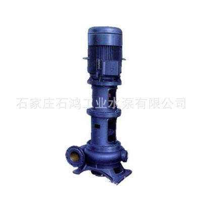 批量销售无堵塞排污泵城市排污泵立式污水泵6PWL高效节能