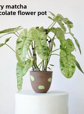 嘉里抹茶巧克力花盆景德镇陶瓷手工透气绿色植物花盆休闲风格