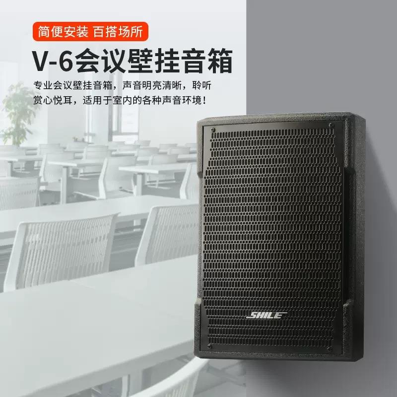 狮乐V-6壁挂音箱会议店铺舞蹈室教室餐厅健身房背景音乐音响