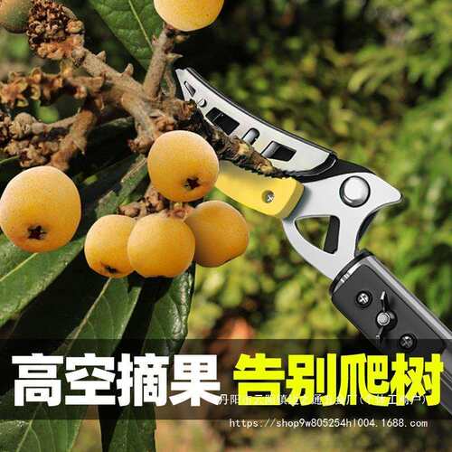 摘枇杷采摘水果荔枝杨梅龙眼摘果伸缩杆高空剪树枝高枝剪