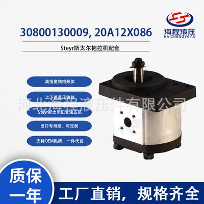 3080013000920A12X086Steyr斯太尔配套单联齿轮泵