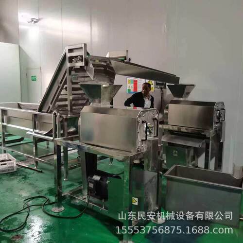 樱桃去核打浆机工业南酸枣去核机商用芒果橙子去皮打浆机