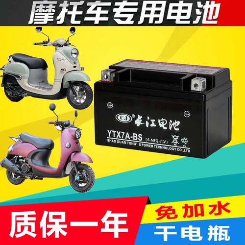 机车电瓶大鲨 大羊小绵羊 大龟王小龟王 小帅哥 小卫士蓄电池