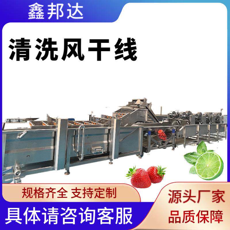 全自动果蔬清洗风干线喷淋式西红柿清洗机器预制菜加工全套设备