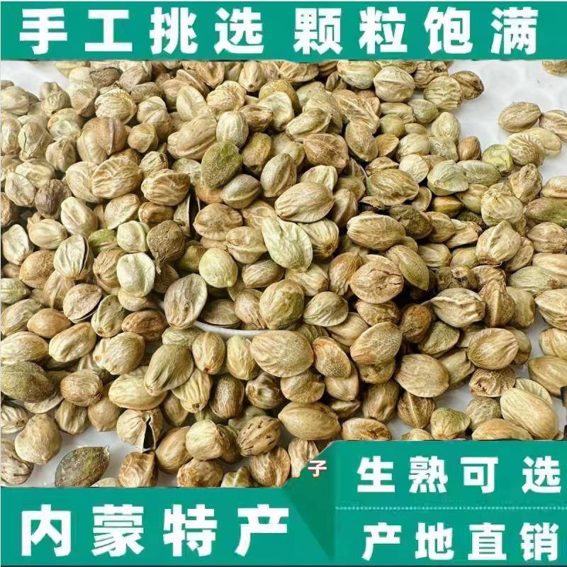 内蒙古中大颗粒原味椒盐味生麻子火麻籽仁香人食用非去壳零食炒货