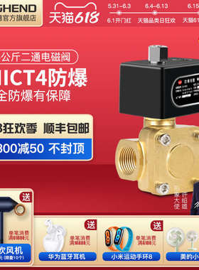 EXI/IIT4气动防爆电磁阀浇封16公斤常闭水阀气阀4分1寸线圈220V24