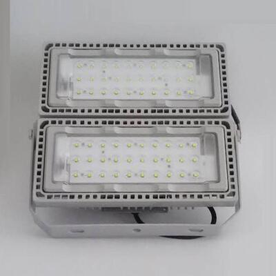 LED投光灯NTC9280大功率泛光灯模组灯 户外防水防震三防灯NFC9710