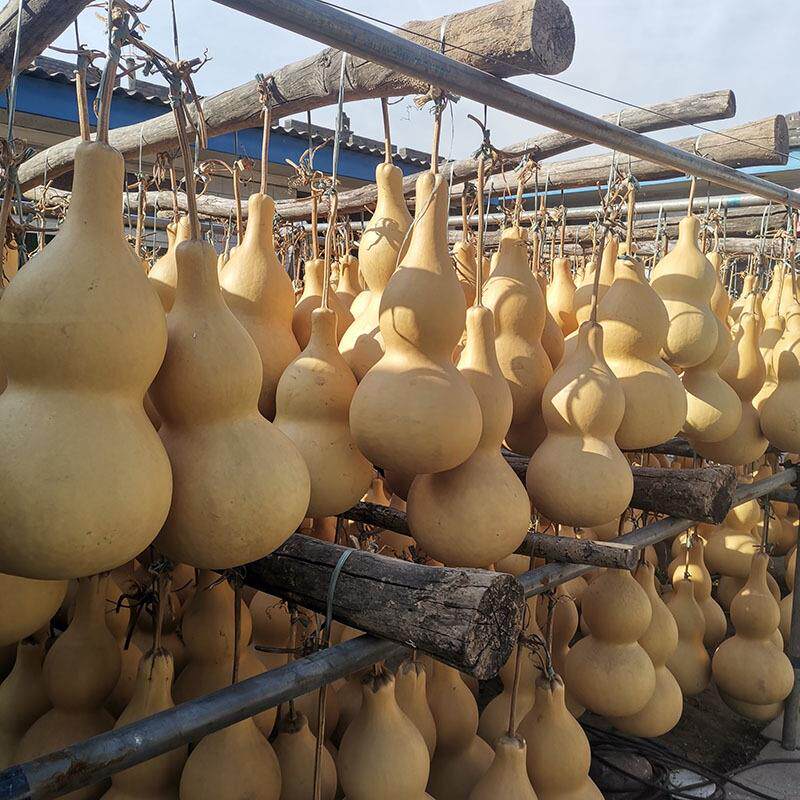 A6L低价特大葫芦压腰装饰品摆件有龙头适合练手烙画实惠