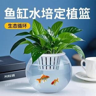 宠小帅新款网红鱼缸水培绿萝水草定植篮轻松生态种植鱼植共生混养