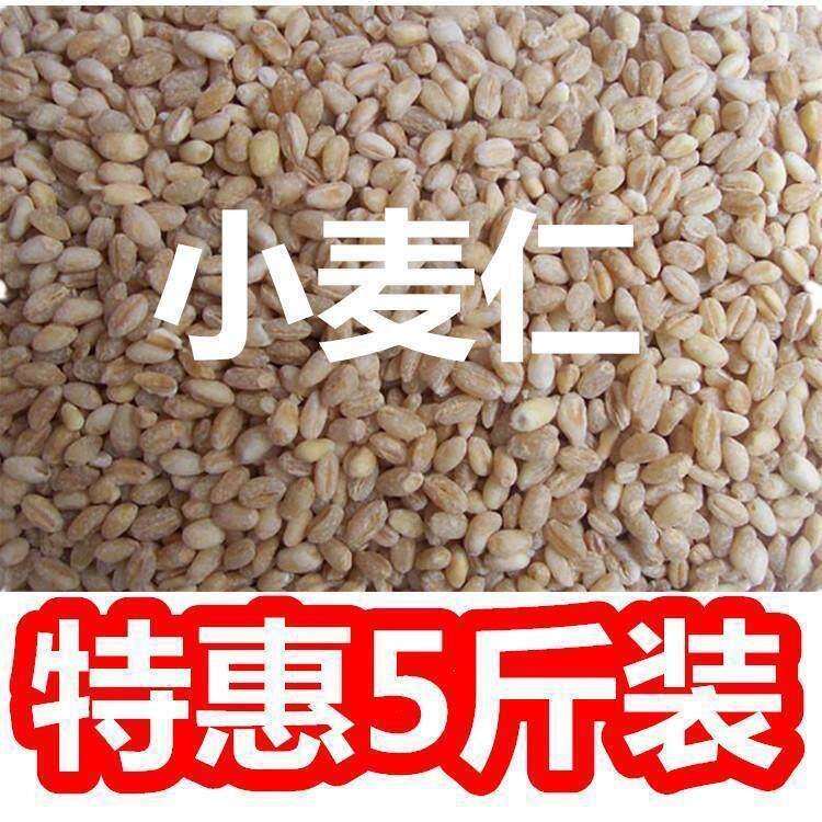 东北小麦仁米去皮脱壳小麦米新鲜小麦粒食用麦子粒农家自产新鲜米