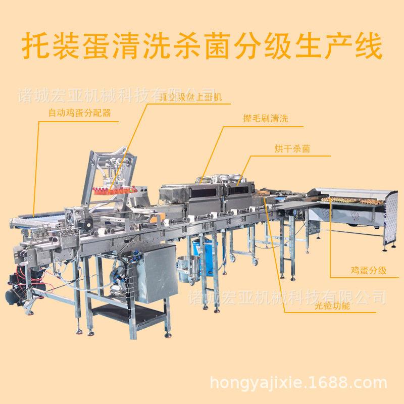 不锈钢鸡蛋分级生产线托装蛋分选设备鸭蛋清洗烘干杀菌光检机