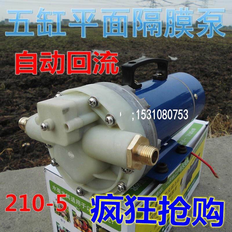 12V24V48V60V小型车载洗车机/高压直流清洗机水泵清洗空调泵