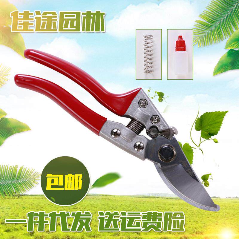 修枝剪包胶园艺剪枝剪刀果树树枝园林花枝花艺剪刀修枝剪