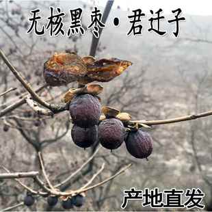 太行山无核黑枣官方旗舰店正宗黑枣特级大乌枣野软枣小柿子君迁子