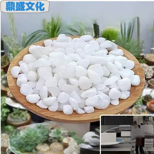 河北铺面白色石头花盆庭院装饰鹅暖石盆栽鹅软石小白石子大鹅
