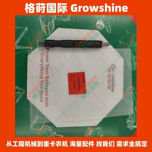喷油器总成HA111003 YN4102GB发动机喷油嘴