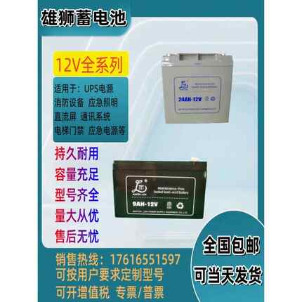 雄狮蓄电池12V7A12A17A24A38A65A100A120A应急直流屏UPS电源通讯