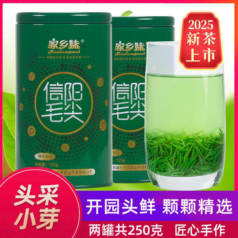信阳毛尖2025新茶上市春茶明前特级头采小嫩芽绿茶叶兰花香型250g