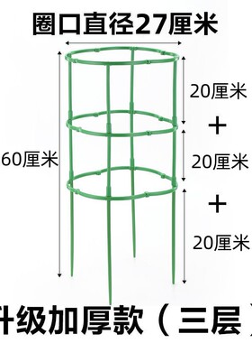 花架子火龙果太阳花月季绿萝花盆