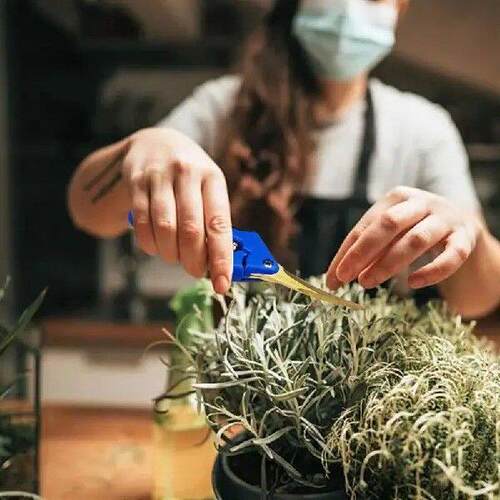 Garden Scissors Trimming Plant Shears Pruning Shears Garden