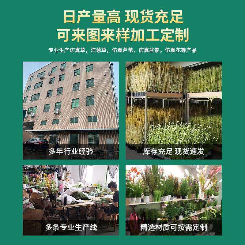 仿真绿植盆栽造景洋葱草家居装饰仿真植物盆景摆件绿植仿真绿植