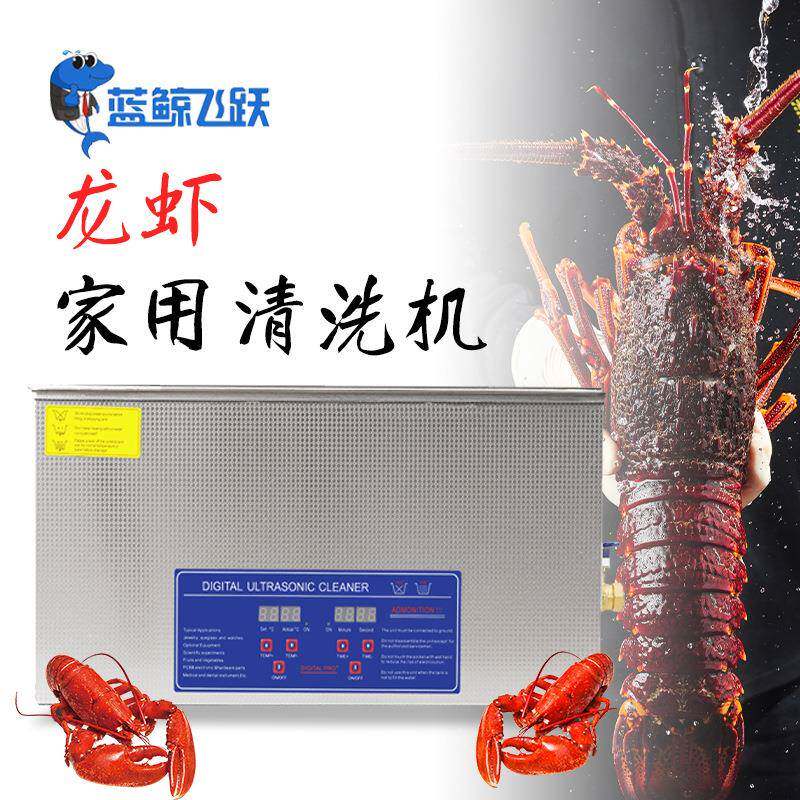小龙虾螃蟹餐具超声波清洗机水果眼镜珠宝首饰家用超声波清洗器