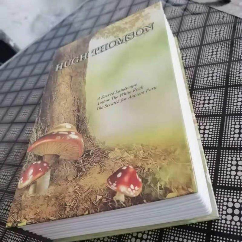 创意书本盒中号书本中型投币迷你保险箱机械防湿钥匙保险箱