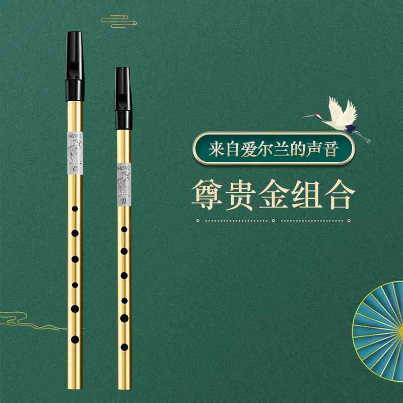 正品尔兰笛初学者乐竖笛锡笛C调D爱调笛子专业演奏高音直哨笛器学