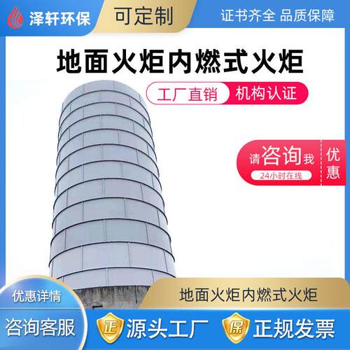 硅烷火炬设备沼气火炬能点火系统精细化工医废气排放火炬系统