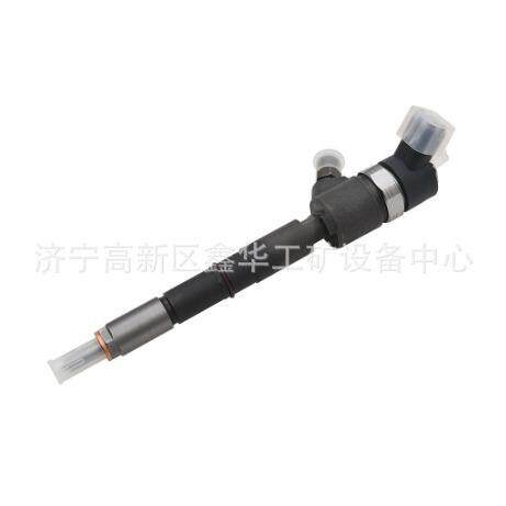 0445110293 0445110248喷油器喷油嘴总成