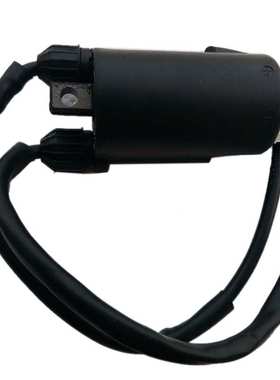 高压包CB1000C  CB650 CB650C 30500-422-003 30500-422-013